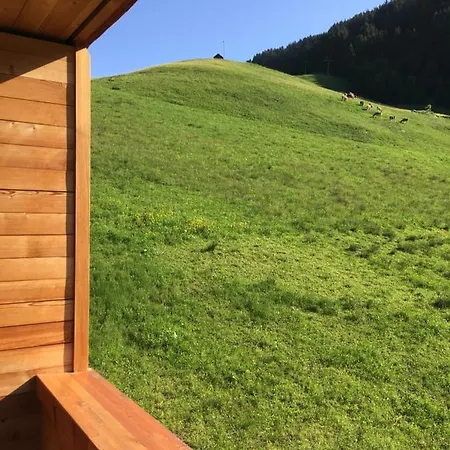 Flora Alpinea * Damüls